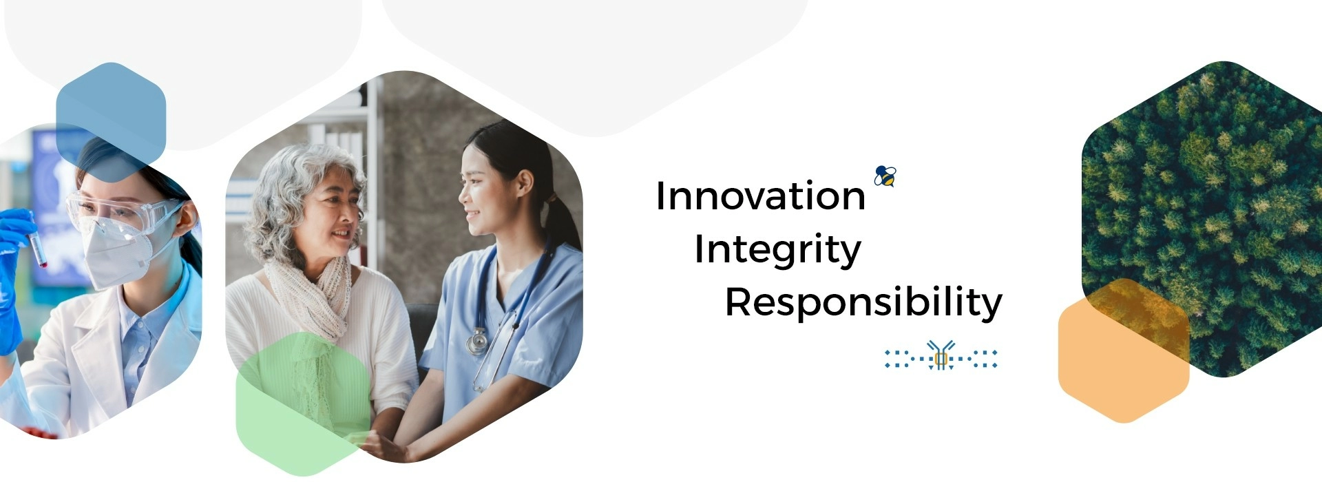 Innovation Integrity Responsibility Innovation Integrity Responsibility